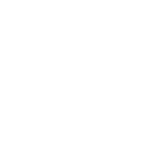 1a