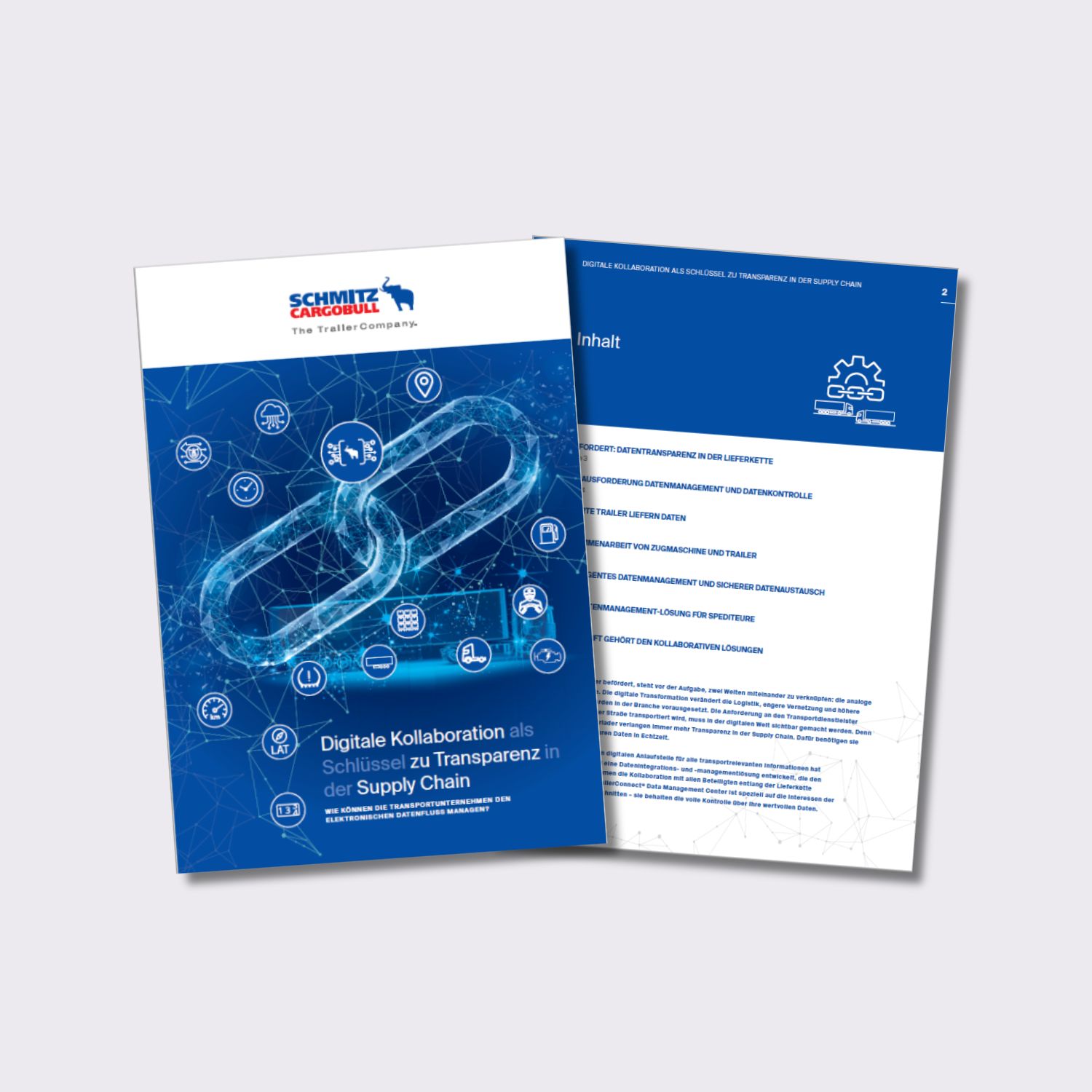 DMC Whitepaper neu Schatten